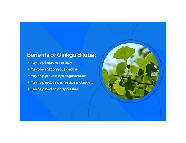 Ginkgo ingredients