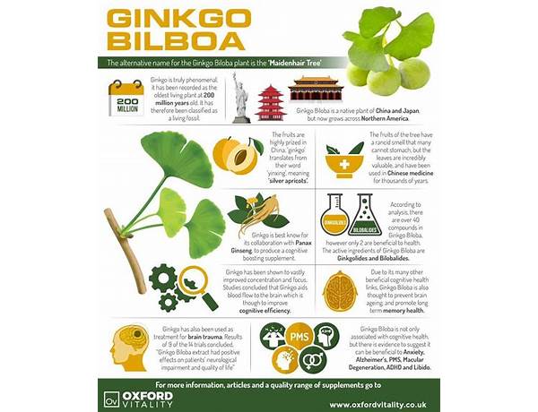 Ginkgo nutrition facts