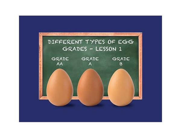 Grade a eggs large food facts