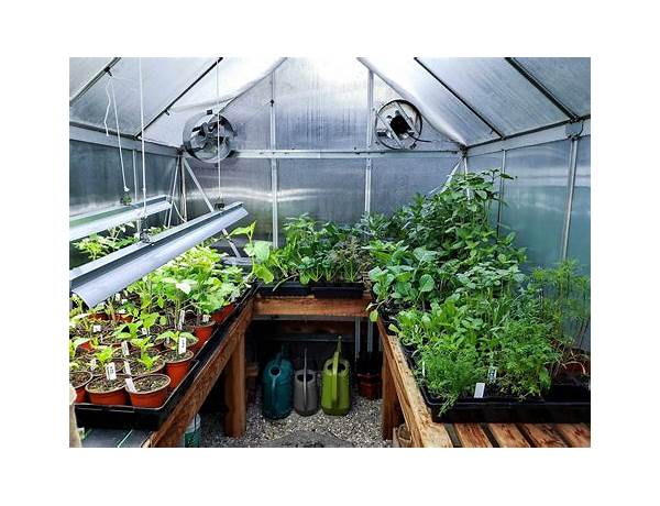 Greenhouse Grown, musical term