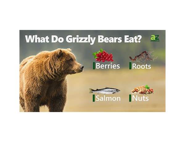 Grizzly food facts