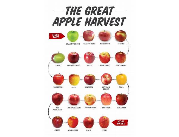 Harvest apple food facts