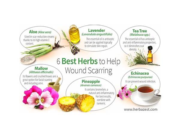 Healing ointment food facts