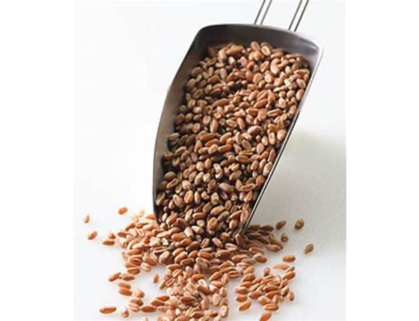 Hearty grains & seeds bread food facts