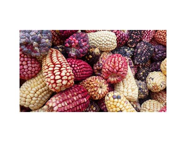 Inca corn food facts