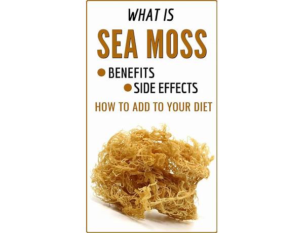 Irish sea moss food facts