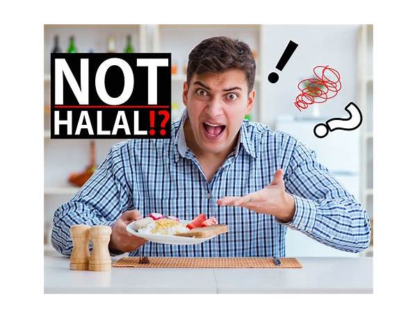 It Is Not Halal, musical term