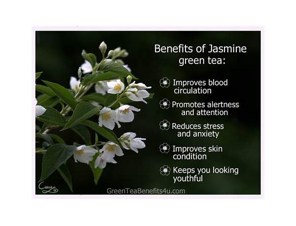 Jasmine green tea food facts