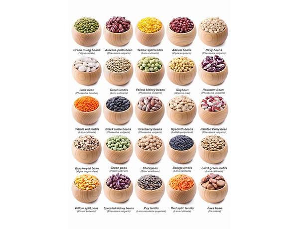 Legumes And Their Products, musical term