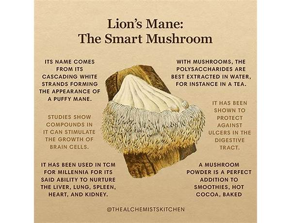 Lions mane food facts