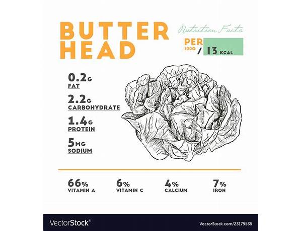 Living butterhead lettuce food facts