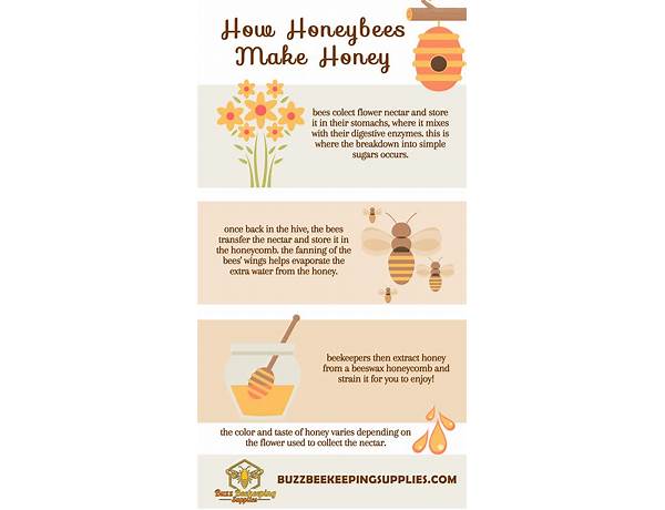 Low country bees and honey food facts