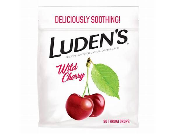 Ludens, musical term