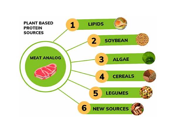 Meat Analogues From Soy Or Wheat Proteins, musical term