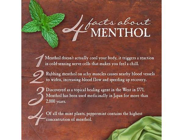 Menthol - food facts