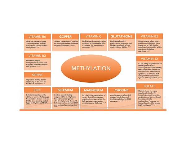 Methylation complete food facts