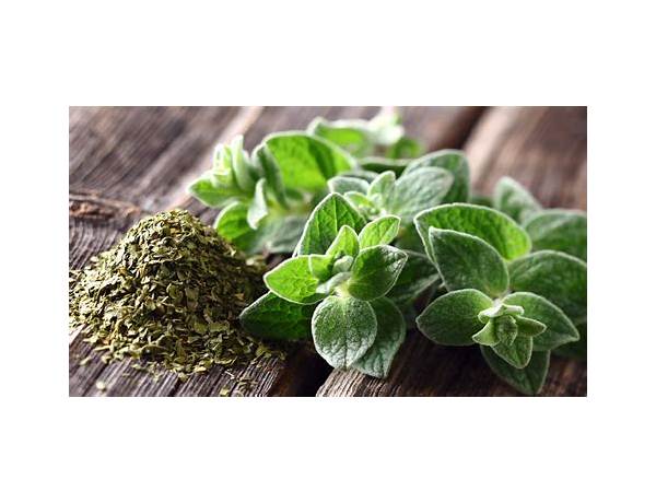 Mexican oregano food facts