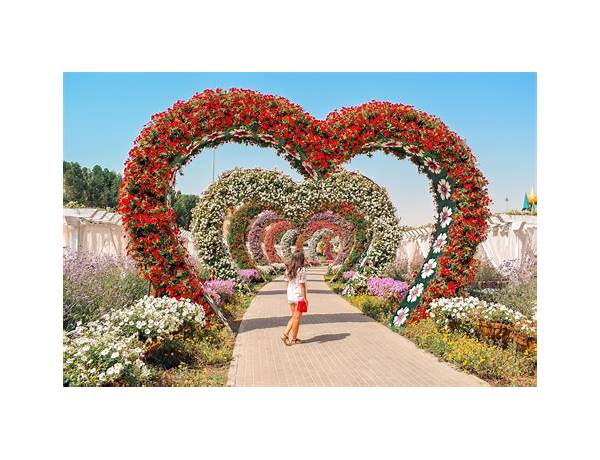Miracle garden food facts