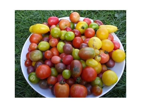 Mixed Tomatoes, musical term