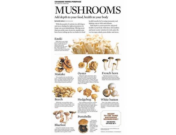 Modern mushrooms food facts