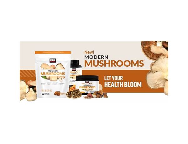 Modern mushrooms ingredients