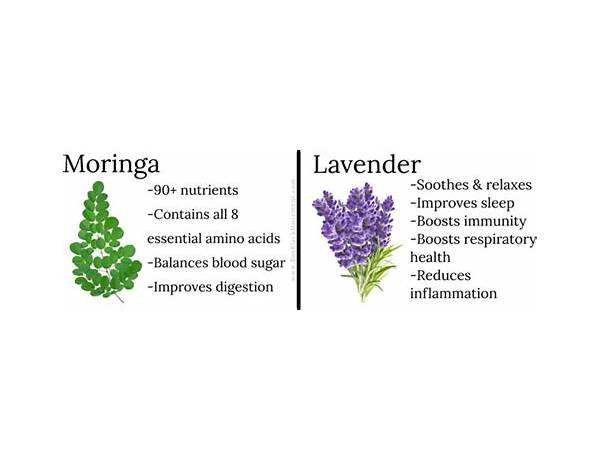 Moringa lavender ingredients