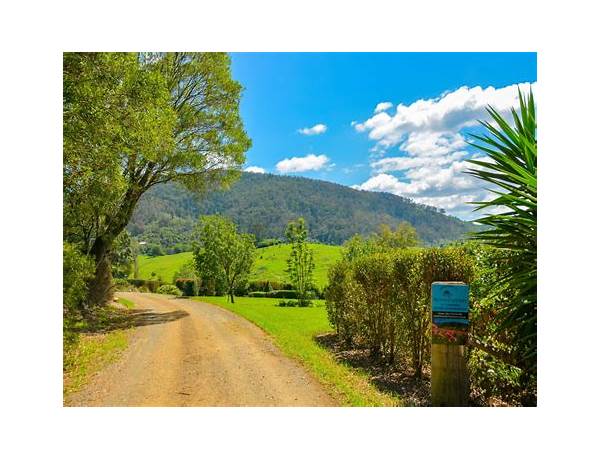 Mountain View Farm, musical term