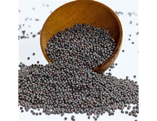 Mustard Seeds, musical term