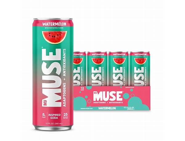 My Muse Inspired Soda, musical term