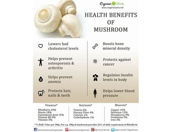 Natural mushroom seasoning food facts