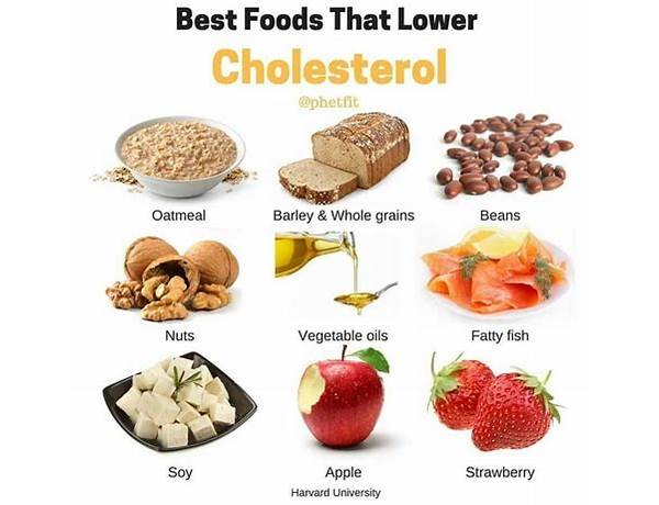 No Cholesterol, musical term