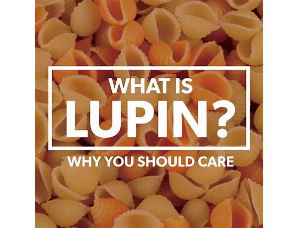No Lupin, musical term