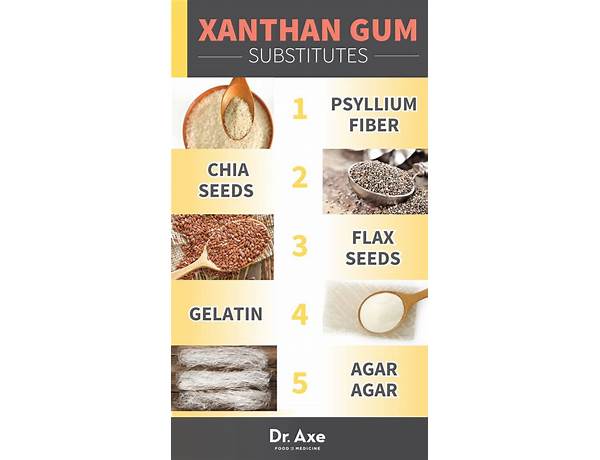 No Xanthan Gum, musical term