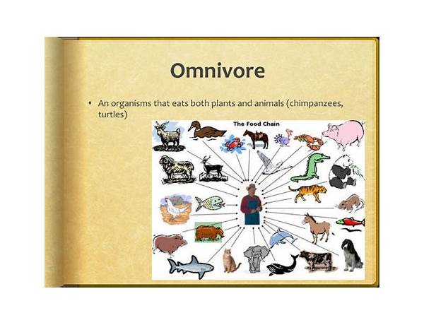 Omnivore Llc, musical term