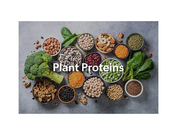 Organic Plant Protein, musical term