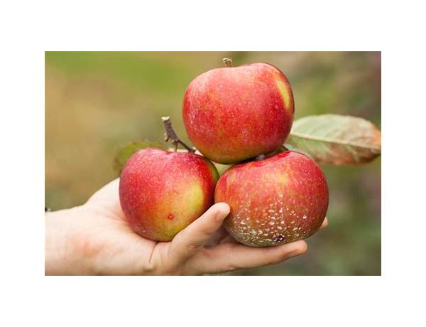 Organic apple & sweet potato food facts