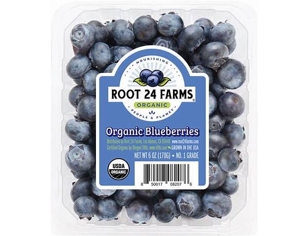 Organic blue berries ingredients
