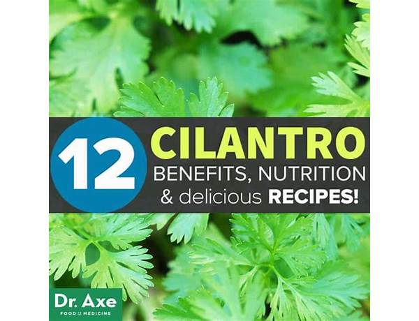 Organic cilantro food facts