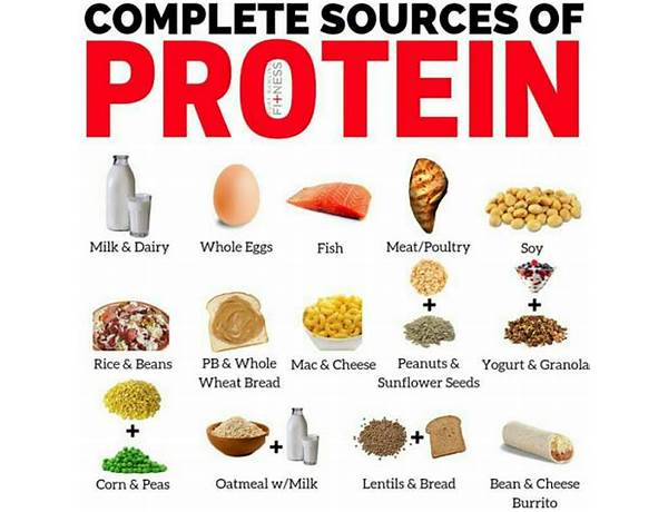 Organic protein food facts