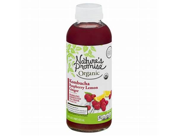 Organic rasberry lemon ginger kombucha food facts