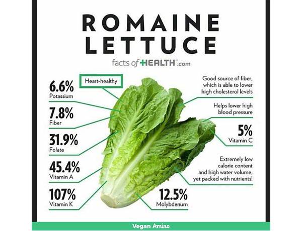 Organic romaine food facts
