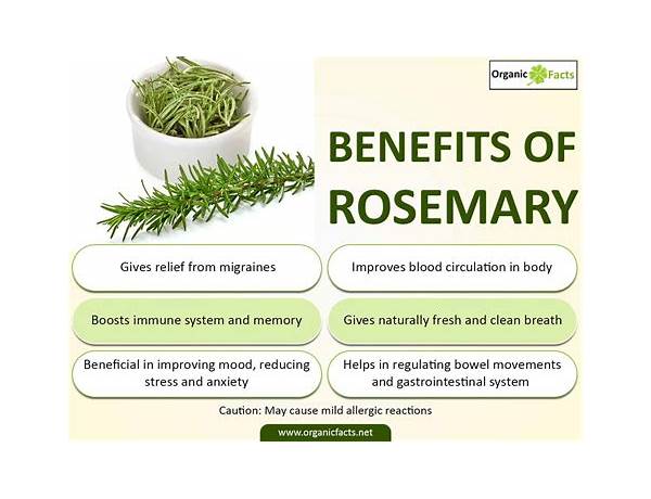 Organic rosemary food facts