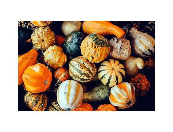 Organic winter squash food facts