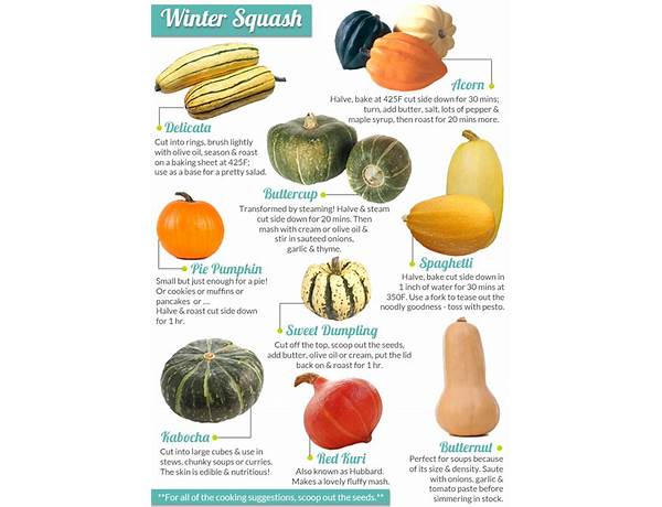 Organic winter squash ingredients