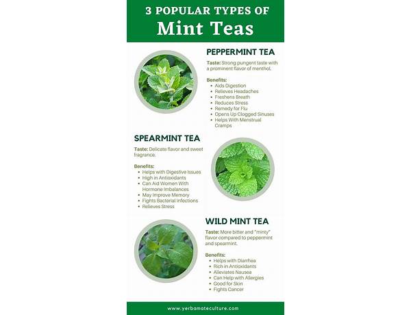 Perfectly mint tea food facts