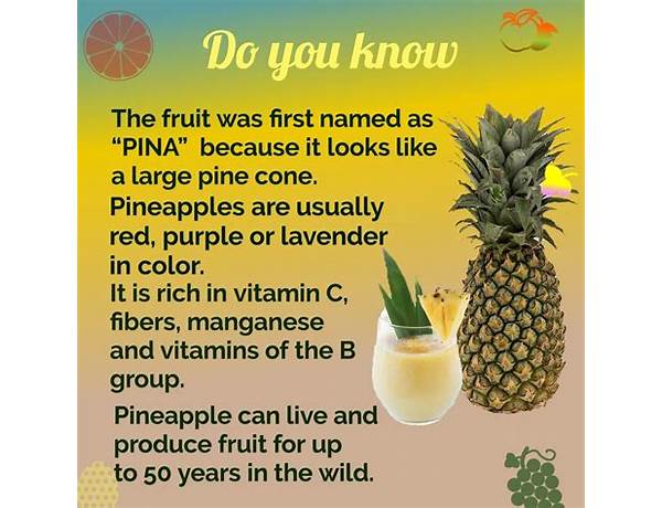 Pineapple paradise food facts