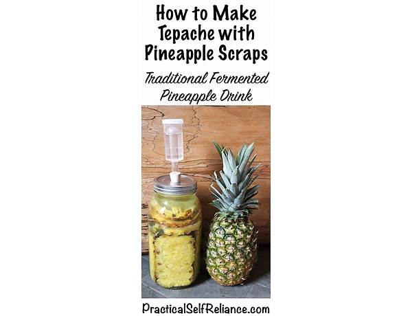 Pineapple spice tepache food facts