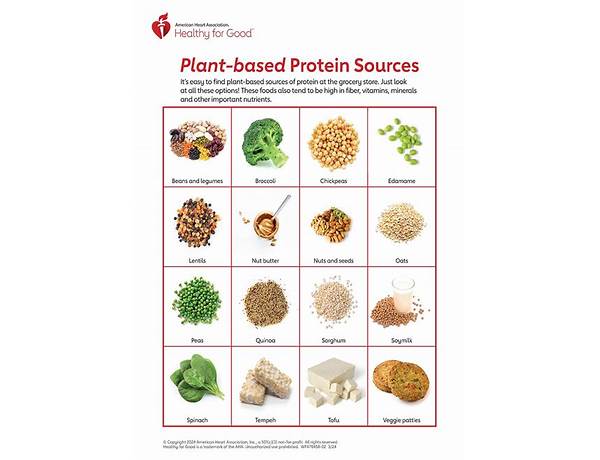 Plant based protein food facts