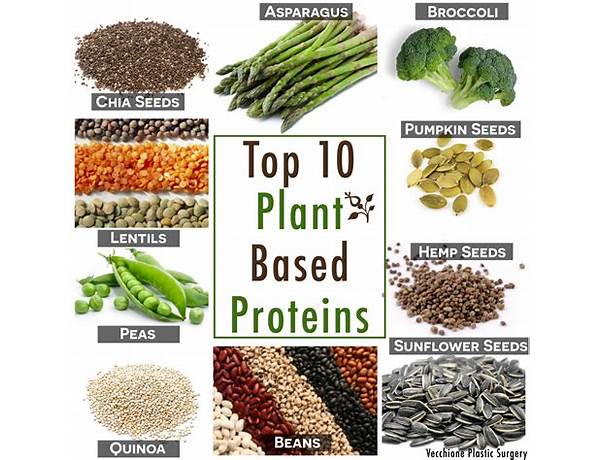 Plant protein blend food facts