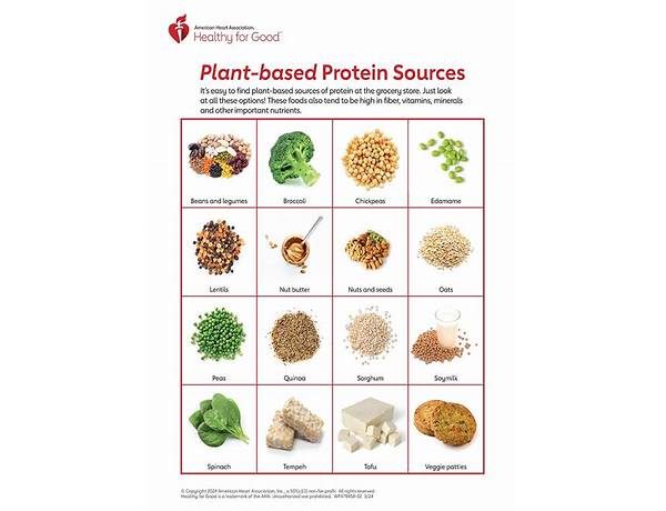 Plant protein nutrition facts